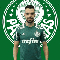 bruno henrique joia GIF by SE Palmeiras