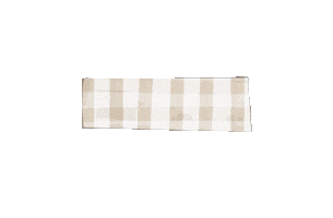 Washi Washitape Sticker by Tabitha Emma