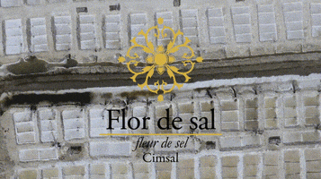 seasalt flordesal GIF by Cimsal