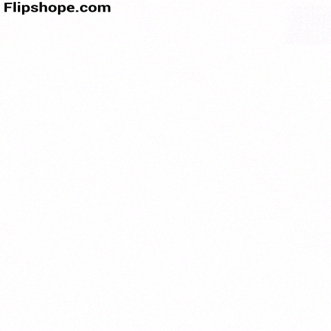 Constitution GIF