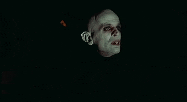 phantom der nacht vampyre GIF