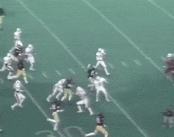 Oh The Band Is Out On The Field GIF