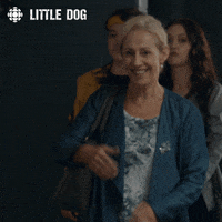 200.gif?cid=fc005b08033f21275214db76ab2f9697cd02bb6134f6c4e8&rid=200.gif&ct=g