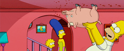 https://media0.giphy.com/media/3gT8Gz748otJC/200.gif