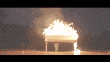 200.gif?cid=fc005b08fb8ce9027042162c66b094f0d907365ddfb0c5a0&rid=200.gif&ct=g