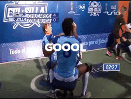 Gool De Sebastian Putz GIF