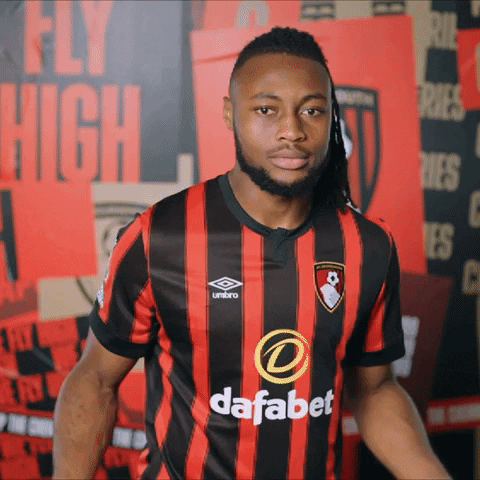 Football What GIF by AFC Bournemouth