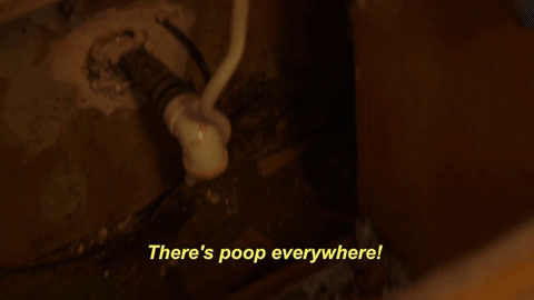 GUY POOPING EVERYWHERE GIF intelligence overview