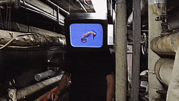 200.gif?cid=fc005b08b1a94afac63cfb4677d70995c4e2ba731f2593ff&rid=200.gif&ct=g