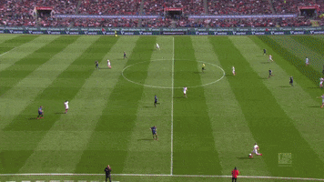 simon terodde football GIF by 1. FC Köln