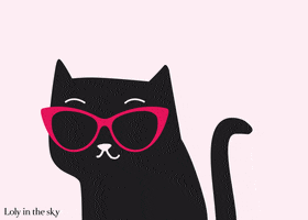 black cat lol GIF by Loly in the sky
