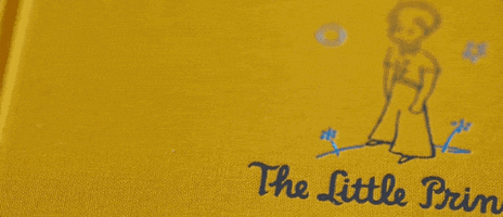 the little prince book GIF by The Orchard Films