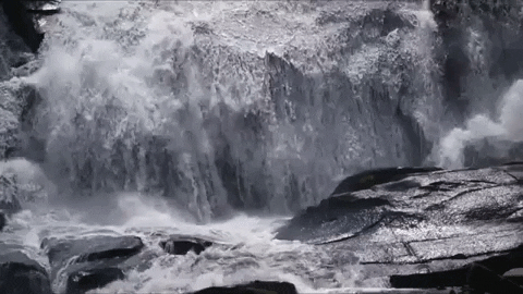 North Carolina GIF - Find & Share on GIPHY