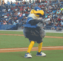 Dance Baseball GIF by Biloxi Shuckers