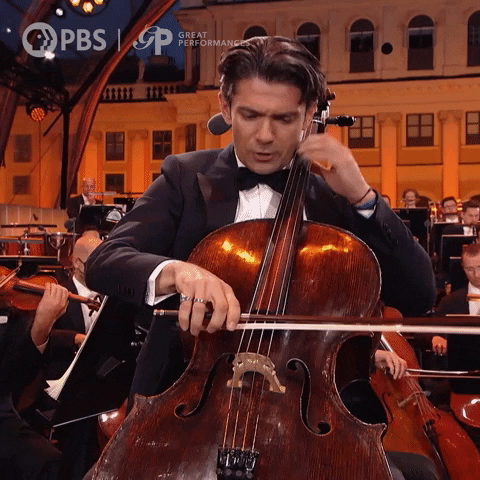 Musician Vienna GIF by GREAT PERFORMANCES | PBS
