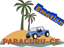 fyberoficial Sticker