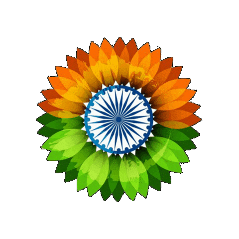 India Sticker