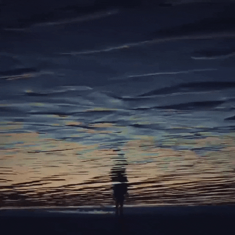 New England Ocean GIF by Chris