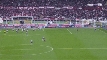 torino GIF by nss sports