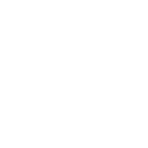 RawPwrr Sticker