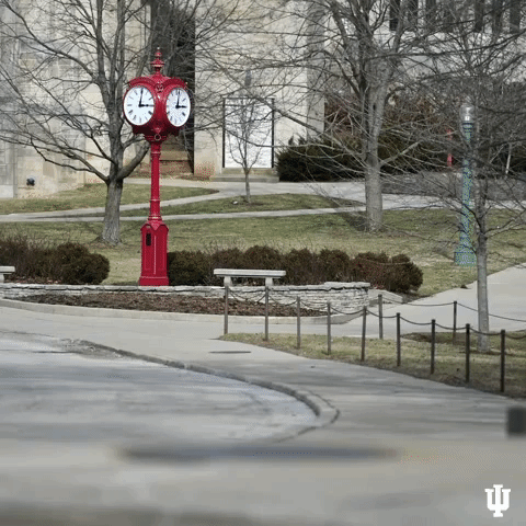 Indiana Hoosiers Iu GIF by Indiana University Bloomington
