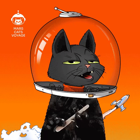 Mars Cats Voyage GIF