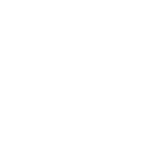 Music Festival Rajasthan Sticker by Magnetic Fields Festival