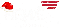 NEWE Seguros Sticker