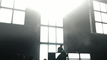dantemuzquiz  GIF