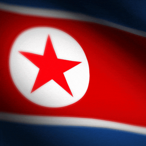North Korea Flag GIF
