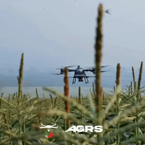 Agrsdrones GIF by Agrs Drones Agrícolas