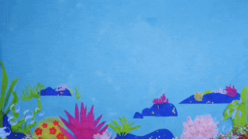 happy birthday swimming GIF by Super Simple