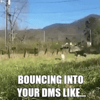 Dms Bouncing GIF by Justin