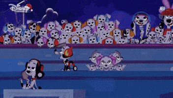 4Th Of July Dog GIF
