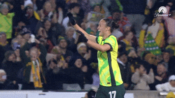 Celebration Goal GIF by Football Australia