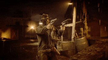 dual wield red dead redemption 2 GIF by Rockstar Games