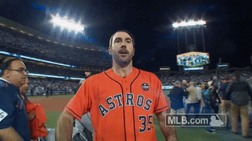 World Series Astros GIF by MLB