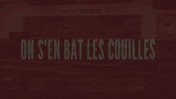 donatien joueur du grenier balek on s'en bat les couilles on s'en branle GIF