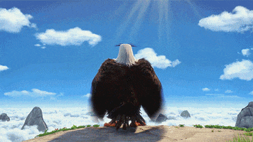 one week chuck GIF by Angry Birds