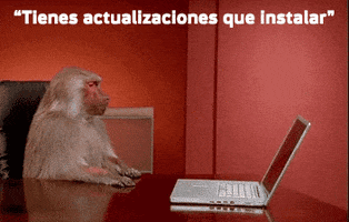 Office Monkey GIF by The Story Room
