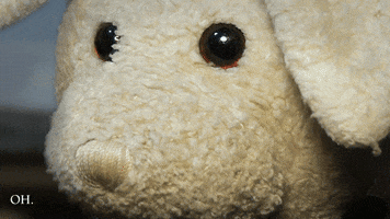 bunny crying GIF by Zackary Rabbit