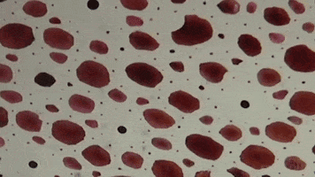 Biology GIF