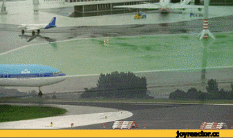 caravan  GIF