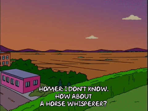 horse-whisperer meme gif
