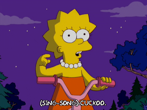 https://media0.giphy.com/media/3o6Mb6R5qxIm88mz4I/giphy.gif