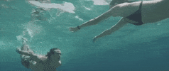 Music Video GIF by Mike Perry