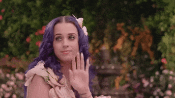 wide awake by Katy Perry GIF Party