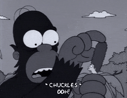 200.gif?cid=fc005b0846436fcd6b2669451dd61291d130faa83b00f23b&rid=200.gif&ct=g
