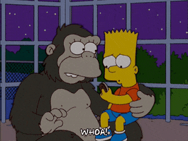 200.gif?cid=fc005b088e9563e175177e8f5c5e7bb8acae9c584fbf7737&rid=200.gif&ct=g