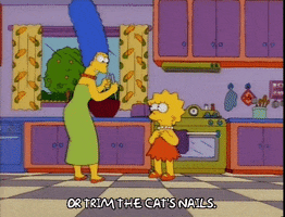 200.gif?cid=fc005b08eedfa72d03fd6ee950a773ae715420c9dc88a794&rid=200.gif&ct=g